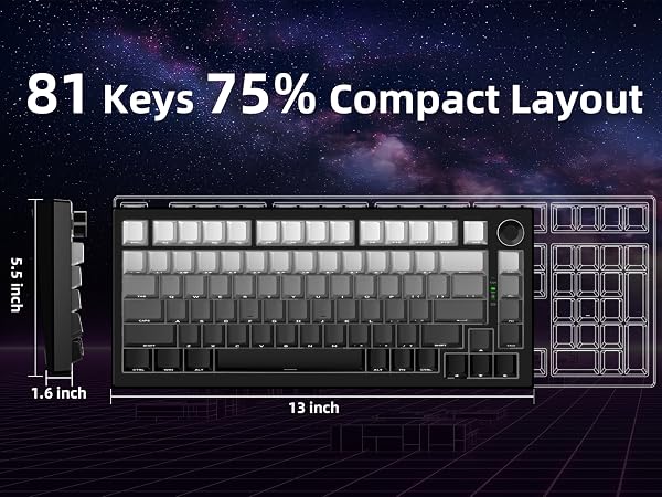K81-???-6