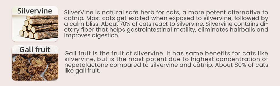 Raffia Silvervine Sticks