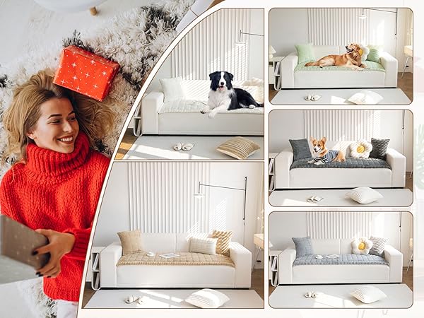couch covers for dog