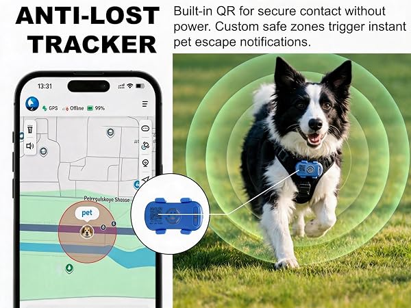 tracker for dogs4