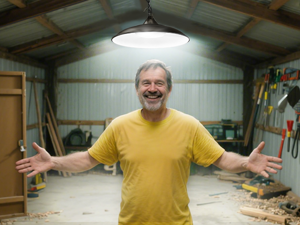 solar shed light