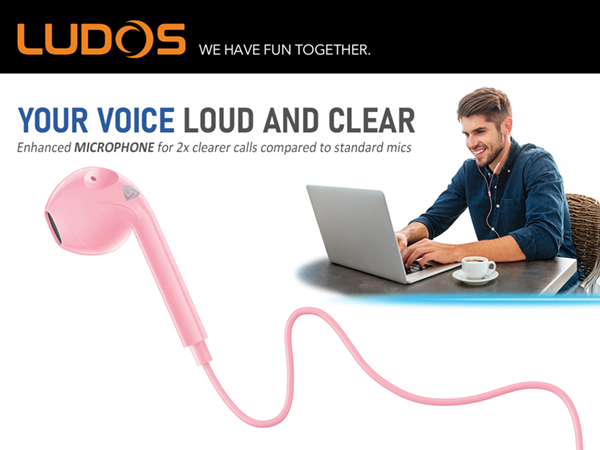 wired earbuds with microphone