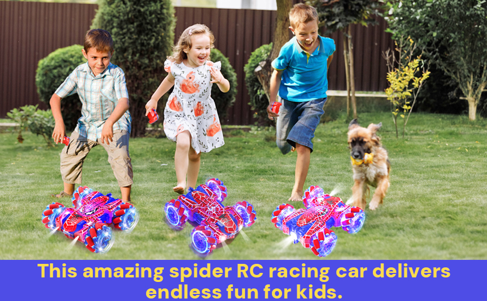 Spider remote control car