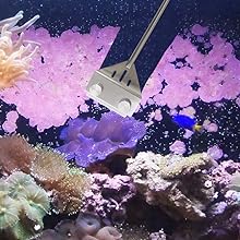 fish tank glass cleaner, aquarium cleaner, aquarium cleaning tools, fish tank cleaning tools