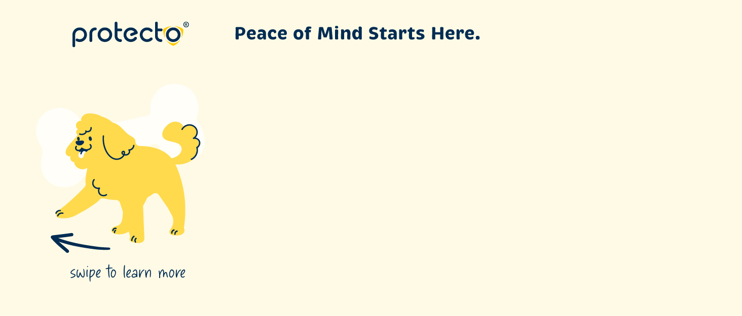 Peace of Mind Starts Here
