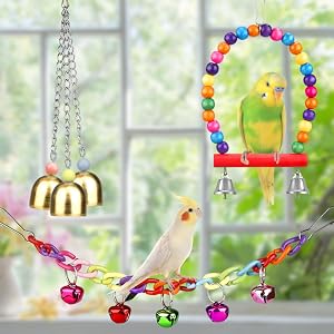 parrot toys