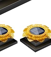 solar sunflower lights