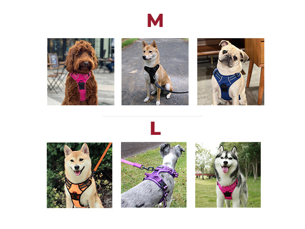 indestructible harness for dogs