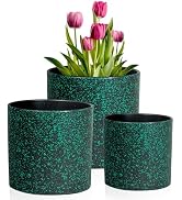 Meowell 8/7/6 inch Plant Pots, 3 Pack Cylindrical Flower Pots for Outdoor Indoor Plants, Decorati...