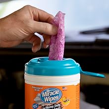 camping accessories cleaning supplies clorox wipes boat lysol wipes armor all wipes car