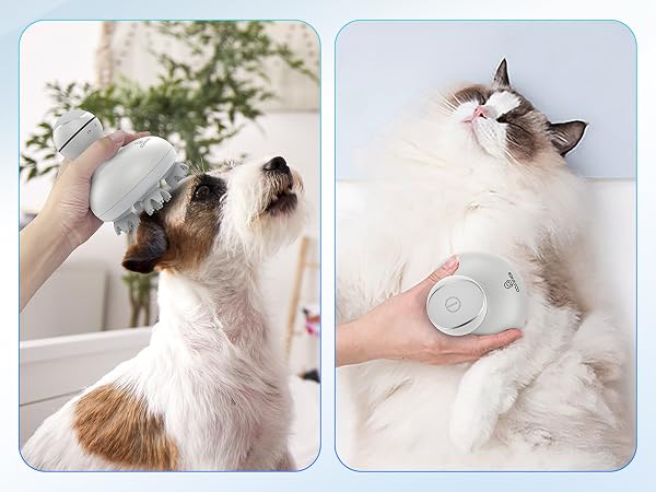 Pet massage