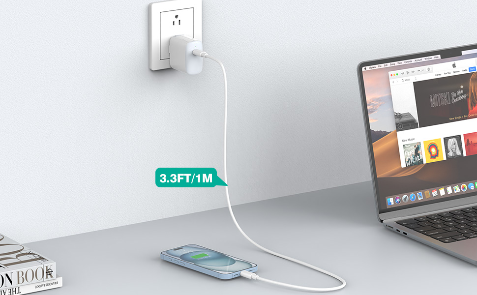 3.3FT/1M USB C to USB C cable