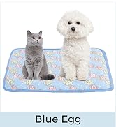 Blue EGG