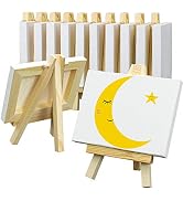 FIXSMITH 3x4 Inch Mini Stretched Canvas Easel Set- Bulk Pack of 12,Set Contains 12 Mini Rectangle...