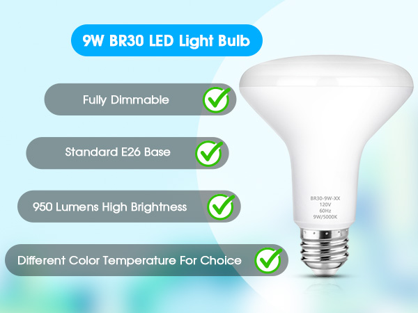 BR30 LED