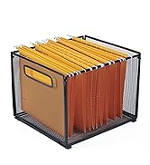 file organizer