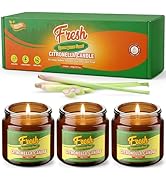 STRN Citronella Candles Outdoor, Citronella Scented Candle, Summer Indoor Soy Wax Candles, Glass ...
