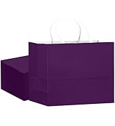 qiqee 24PCS Large Gift Bag with Handles Bulk 13