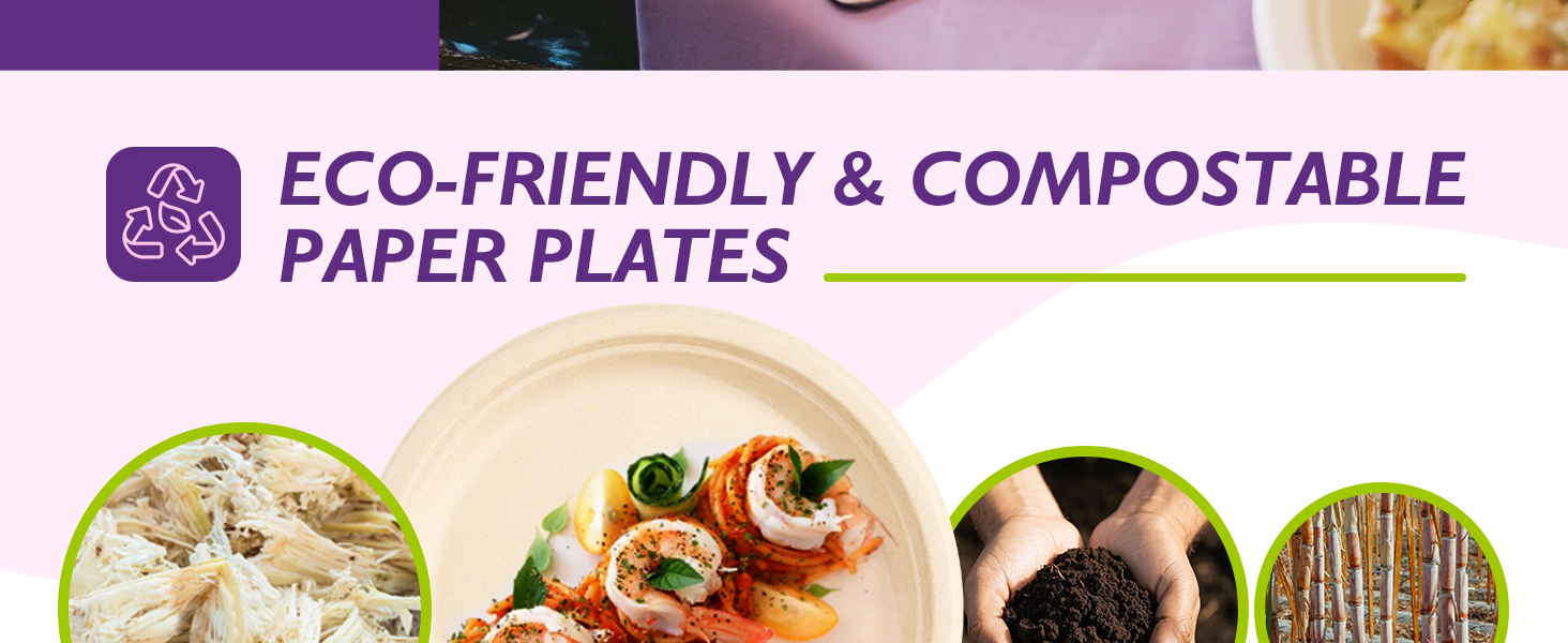 Compostable Paper Plates