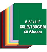 Colored Cardstock 8.5 X 11, 40 Sheets, 10 Assorted Colors Construction Paper, 65lb/ 180gsm, Card ...