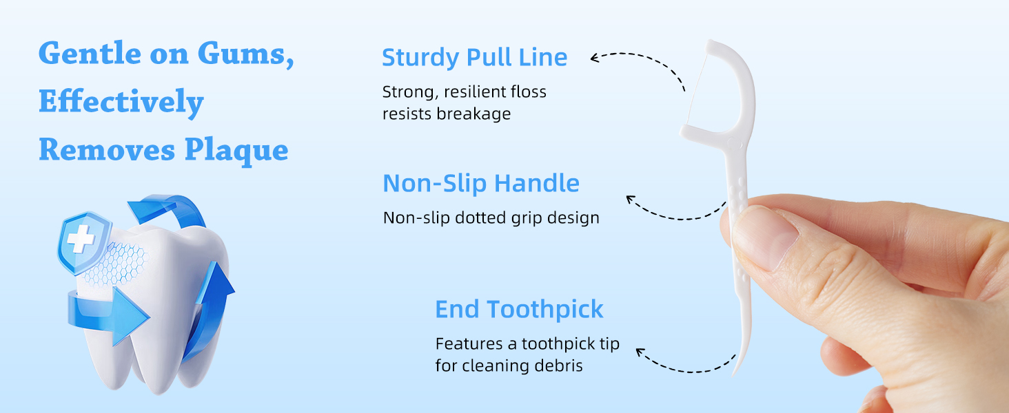 Dental Floss Picks
