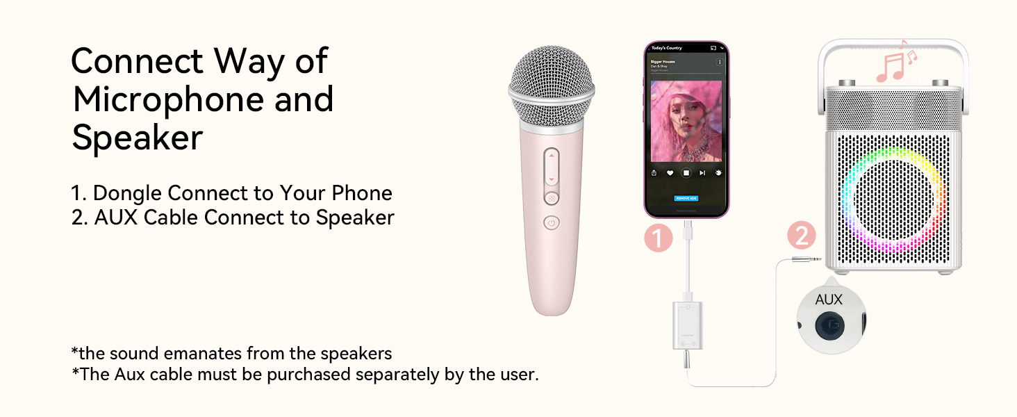 singing recording karaoke microphone