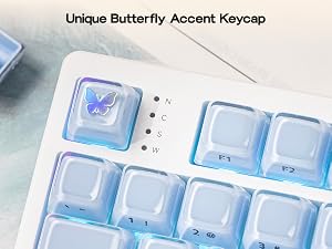 Lusterfly jelly kecaps set
