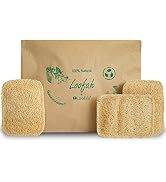 Natural Loofah Kitchen Sponge (3 Pack)