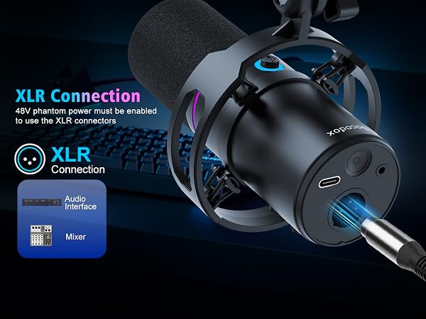 Gaming Microphone with Boom Arm