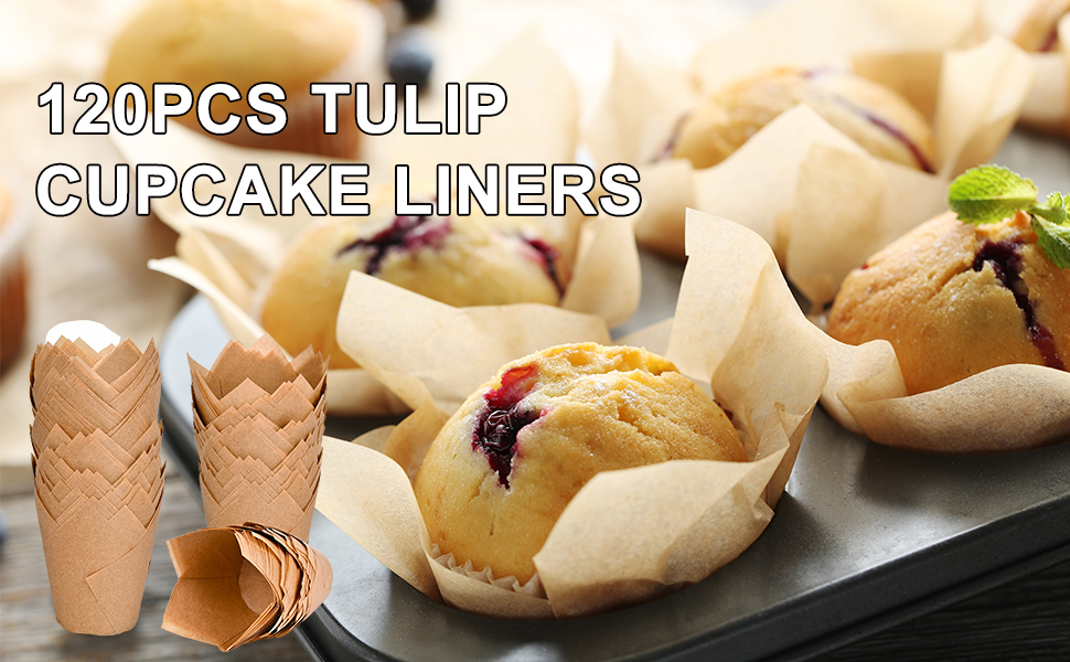 Tulip Cupcake Liners