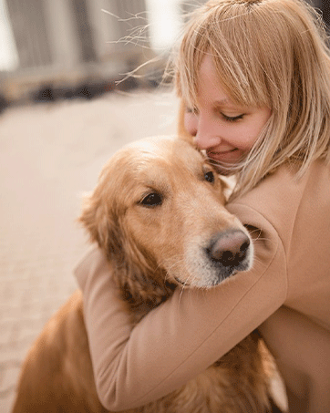Golden Retriever dog with golden-brown fur being embraced in a warm hug, showcasing the close bond between pets and their companions.