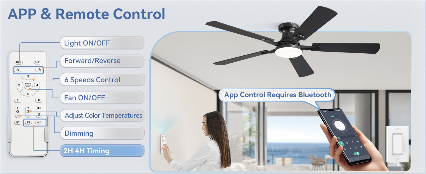 ceiling fan