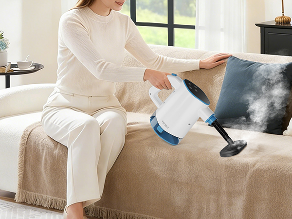 handheld steam cleaner