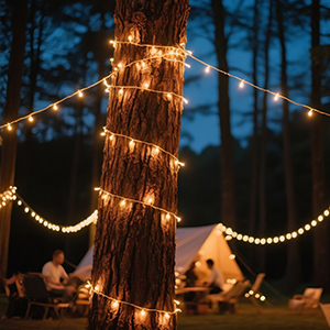 Christmas string lights