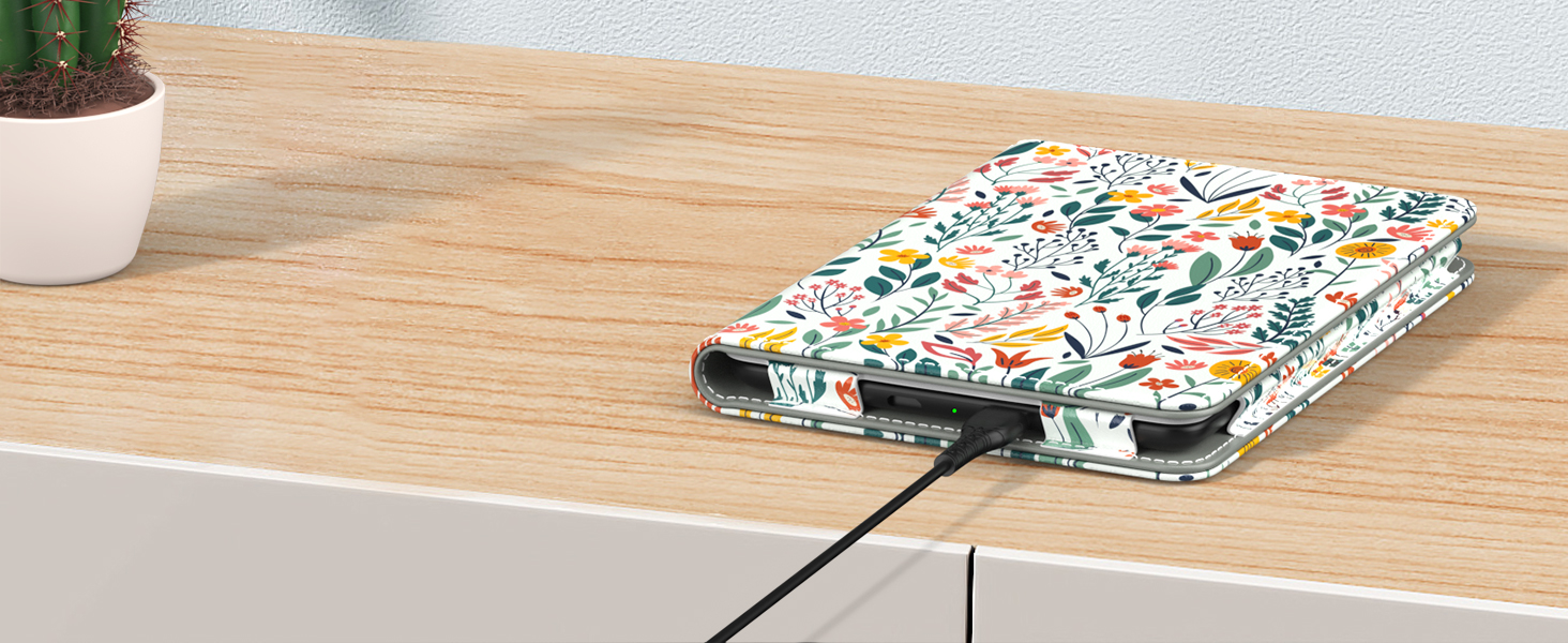 Kindle (11th Gen., 2022) / Kindle (10th Gen., 2019) / Kindle (8th Gen., 2016) Protective case