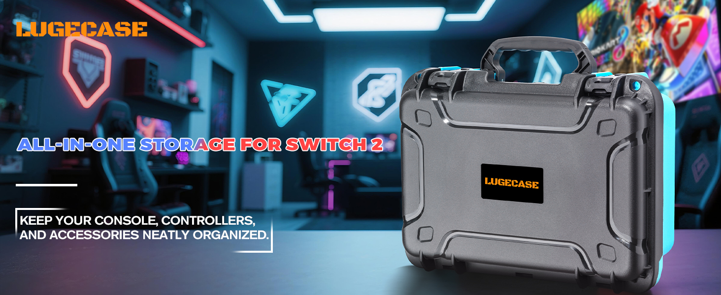 2 switch carrying case