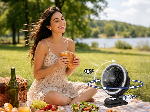 fan with clip