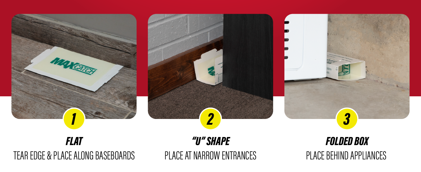Max-Catch glue trap placement examples along baseboards, doors and appliances