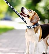 MayPaw Service Dog Collar, 1” and 1.5” Wide Dog Collar Strong Nylon Medium Large Extra-Large Dog ...