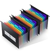 ThinkTex Plastic Expanding Hanging File Folders, 7 Innovative 1.2" Accordian Pockets, Large Capac...