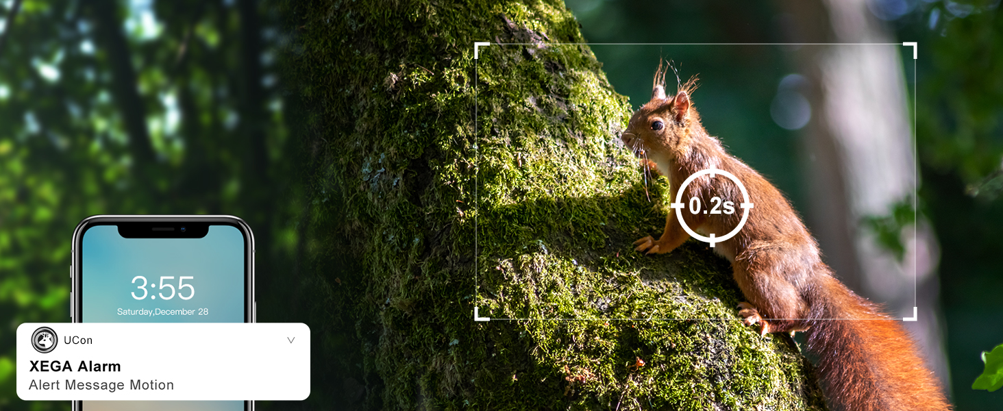 A squirrel on a mossy tree trunk, with a smartphone interface overlay showing time and heart rate information.