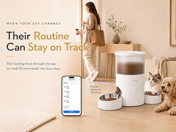 Automatic Cat Feeder