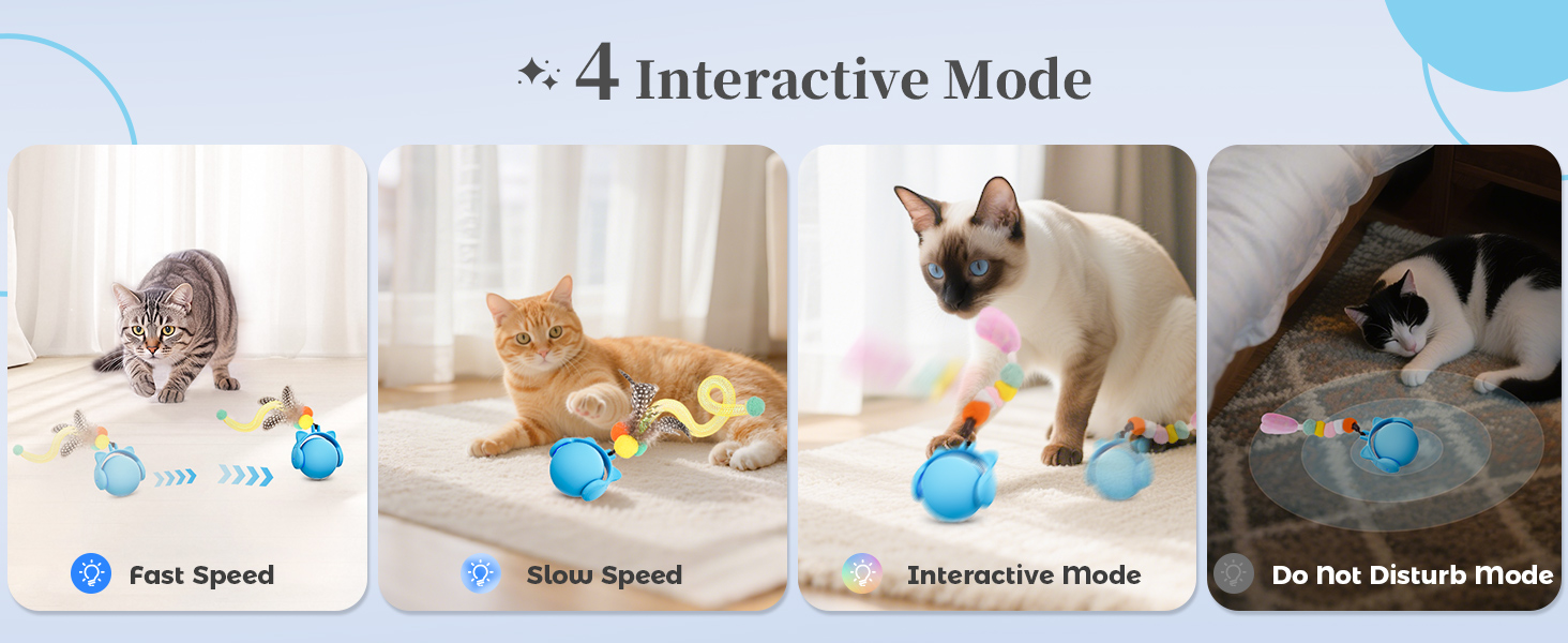 cat toy ball