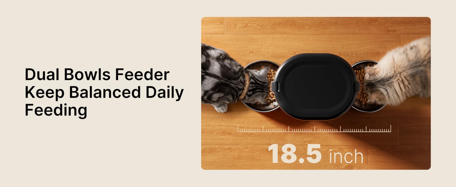 dual automatic cat feeder