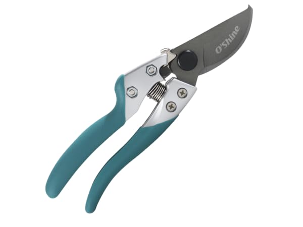 8“ professional bypass pruning shear