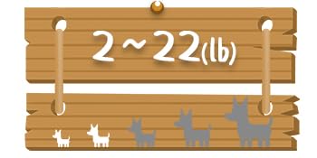 Dog Size