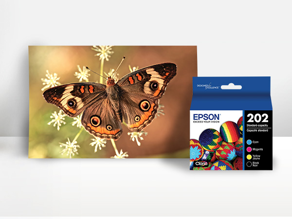 T202 | Premium
