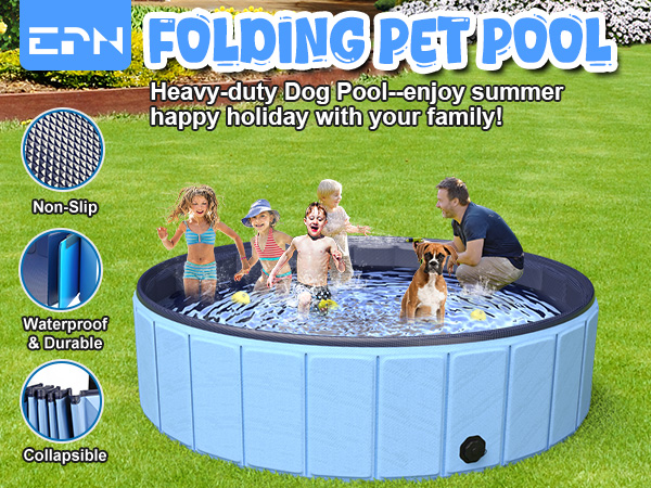 dog pool