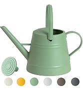 1 Gallon Watering Can Outdoor, Plastic Water Can for Plants with Comfort Grip Handle, Detachable ...