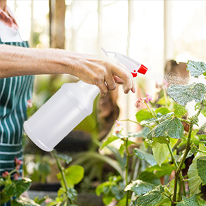 Spray bottle for cleaning solutions